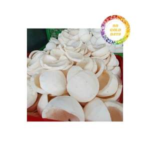 เนื้อมะพร้าวแช่แข็งสีขาวสำหรับส่งออกจำนวนมากใช้ในโรงงานอาหารขนมและการผลิตเครื่องดื่ม - Product Image 4