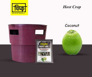 Nhựa hiệu quả xô Pheromone bẫy mô hình RB RPW cho Pest kiểm soát của dừa côn trùng - Product Image 3