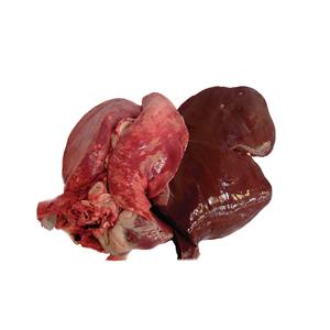 Buena calidad, precio bajo, carne de cordero congelada con tráquea - Product Image 3
