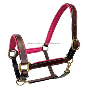 Rembourrage coloré et coutures durables licou de cheval en cuir de selle véritable robuste avec matériel en laiton dans les tailles Cob complètes - Product Image 2