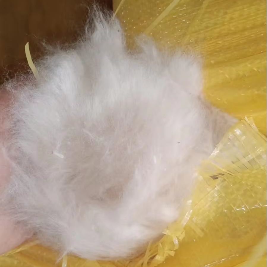 RAW COTTON
