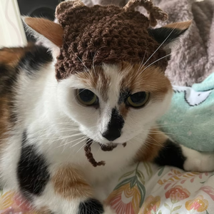 Sombrero de ganchillo Sombrero para gato o perro pequeño accesorios de animales, disfraz de sombrero de Mascota de Vietnam HOANG LINH SG Kimy + 84938616690 - Product Image 6