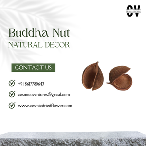 ดอกไม้แห้งออร์แกนิคคุณภาพสูงจากธรรมชาติ สำหรับตกแต่งงานแต่งงาน วันพ่อ วันแม่ และงาน DIY - Product Image 3