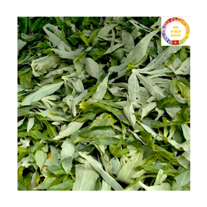 Hojas de Yuca Congeladas Premium de Vietnam Listas para Usar en Restaurantes y Cocina Casera - Product Image 1