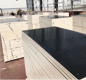 Lámina de Madera Contrachapada Recubierta de Película Negra 4x8, Chapa de Abedul Resistente al Agua para Encofrados de Construcción - Product Image 4