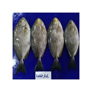 Conejo y pescado congelados a precio de descuento, disponibles para suministro al por mayor con entrega rápida - Product Image 2