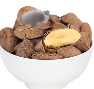 Nueces de Brasil Enteras Crudas Secas de Primera Calidad para Uso Alimentario - Product Image 4