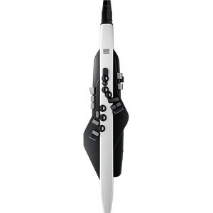 Meilleures ventes : Instrument à vent numérique Roland Aerophone AE-20/AE-10G - Product Image 1