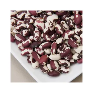 Frijoles de arándano de la mejor calidad del proveedor al por mayor a la venta a precio barato Frijoles de arándano de la mejor calidad a la venta a precio barato - Product Image 1