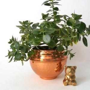 Grande jardinière en laiton antique de qualité supérieure faite à la main pour l'affichage de plantes haut de gamme avec des jardinières de forme et de taille personnalisées au design martelé - Product Image 2
