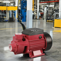 Pompe centrifuge auto-amorçante haute pression en acier inoxydable TECHNIC POWER 0,5/1,5/2 CV avec moteur à fil de cuivre pour usage industriel