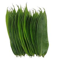 ALL-NATURAL BAMBUS VERLÄSST SAUBERES ETIKETT PRODUKT HOHE QUALITÄT