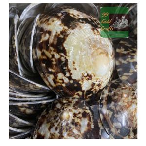 เปลือกหอยธรรมชาติส่งตรงจากเวียดนามเหมาะสำหรับคุณแม่ที่เลี้ยงลูกด้วยนมหัตถกรรมและศิลปะเรซิน - Product Image 6