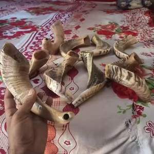 Shofar de Cuerno de Carnero Natural en Venta, para Tocar y Propósitos Religiosos, Tamaño Personalizado, Shofar Kosher Pulido, Cuerno de Kudu por HF CRAFTS - Product Image 1