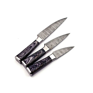 Ensemble de couteaux de chef en acier Damas véritable forgé à 67 couches, haute durabilité, manches en bois, design ambidextre - Product Image 3