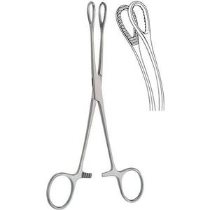 <b>Sponge</b> Holding Forceps Stainless Steel Surgical Instrument - Product Image 5