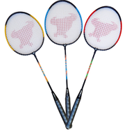 Juego de Bádminton HRM de Primera Calidad, Duradero, con Bolsa y Caja para Raquetas, Diseño, Color y Tamaño Personalizables en India