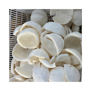 Meilleure noix de coco congelée fraîche et savoureuse du Vietnam traitée IQF pour diverses utilisations Conservation de l'eau Emballage en vrac - Product Image 1