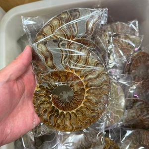 Tranche de fossile d'ammonite naturelle avec support, géode druzy, coquille d'escargot, ornement de bureau, spécimen de cristal de guérison pour la décoration de bureau et de la maison - Product Image 4