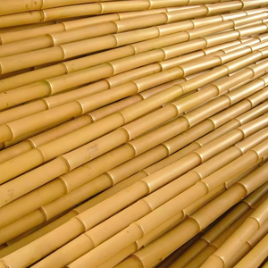 Postes de bambú natural Vietnam - Durable Raw Cane Sticks al por mayor para decoración de jardín y construcción-FBP1015 - Product Image 6