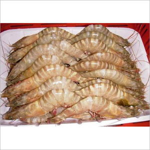 CAMARONES CONGELADOS / LANGOSTINAS CONGELADAS EXPORTACIÓN AL POR MAYOR - Product Image 3