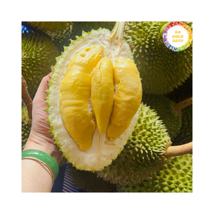 ข้อมูล99ทองทุเรียนแบบสดระดับพรีเมียมที่มาจากเวียดนามเหมาะสำหรับตลาดค้าปลีกและการขายผลไม้สด - Product Image 3