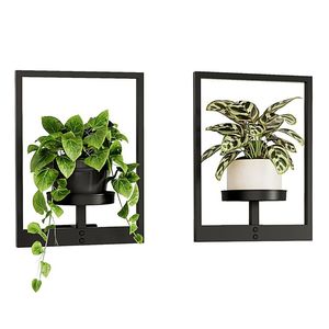 Support mural en métal écologique soutenant des pratiques de jardinage durables pour les plantes d'intérieur et d'extérieur - Product Image 6
