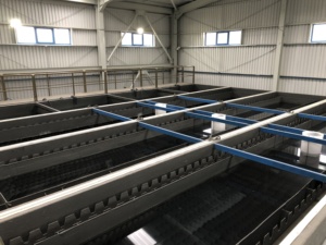 Planta Compacta de Tratamiento de Agua de Río AKTIFPAK de Acero Inoxidable (WTP) con Sistema RO, Tecnología MBBR, Control PLC, 5000L/Hora, 1 Año de Garantía - Product Image 3
