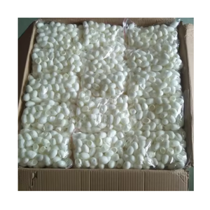 ใยไหมโคคูนแบบเป็นก้อนสำหรับการผลิตผ้าคุณภาพสูง - Product Image 5