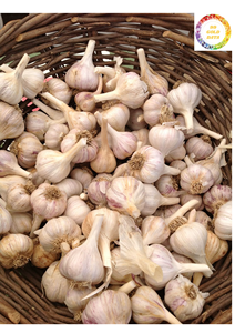 Bulbes d'ail blanc vietnamien avec une texture ferme et une longue durée de conservation à partir de 99 données d'or de haute qualité - Product Image 6