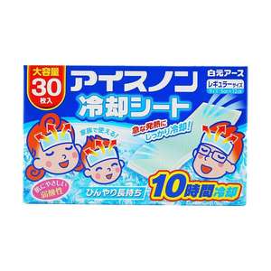 HAKUGEN30 Paquetes de Hielo Promocionales - Material de PE No Tóxico para Reuniones Familiares y Fiestas - Product Image 1