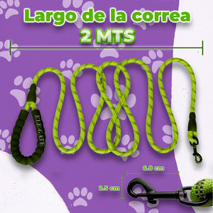Guinzaglio per Cani in Nylon Riflettente Resistente da 2 Metri, Stile Semplice con Doppia Impugnatura, Motivo Uniforme - Product Image 3
