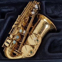 Torero SD-100 Alto Saxophone Gold Lacquer Brass Abalone Keys Carved Bell 660mm Professional