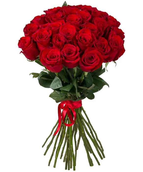 24 roses rouges Premium Kenyan Fresh Cut Saint Valentin Rose à grosse tête 62cm tige vente en gros au détail bouquet de fleurs coupées fraîches