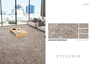 กระเบื้องพอร์ซเลนเคลือบแข็งกันลื่นแบบทันสมัยหินซีซาร์ขนาด600x1200มม. ตกแต่งห้องน้ำภายในวิลล่าโรงเรียนห้างสรรพสินค้า - Product Image 3