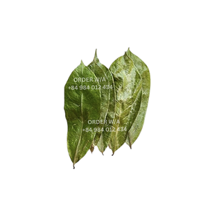 Té de hierbas orgánico natural de etiqueta privada Té de hoja de Graviola Té de Guanábana con alta calidad y precio competitivo - Product Image 6