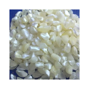 Maíz blanco fresco disponible a granel, la mejor oferta para compradores comerciales - Product Image 6