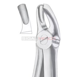 คีมถอนฟันที่มีฟันกรามบน18ซี่มีขนาดแตกต่างกันขายส่ง - Product Image 1