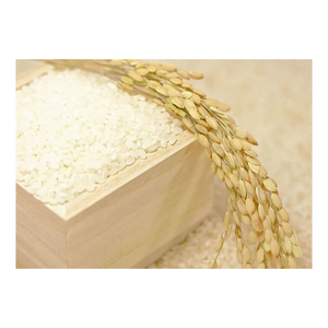 Riz Sasanishiki de qualité supérieure, grain non collant et légèrement sucré - Product Image 1