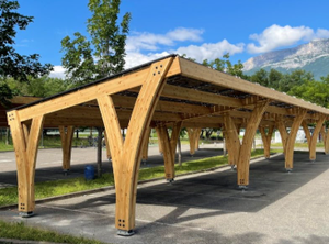 Composants structurels de la pergola solaire rustique à ossature en bois, construction extérieure écologique en bois - Product Image 3