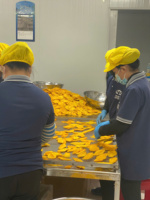 Frutos secos al por mayor a precio de fábrica 100% mango Kaew suave y seco natural orgánico de alta calidad de Vietnam