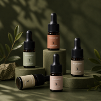 OEM ODM Boîte Cadeau Vide Vert Olive pour Emballage Parfumé, Bouteille Diffuseur en Verre Transparent, Flacon Vaporisateur Cosmétique, Flacons compte-gouttes Ambrés en Gros