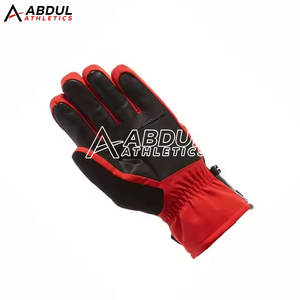 Gants de ski imperméables pour hommes, gants de snowboard thermiques isolés, logo personnalisé, approvisionnement OEM - Product Image 6