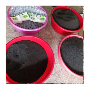 Graines de basilic de qualité supérieure avec effet de gonflement exceptionnel pour les marques de jus en bouteille et la production de boissons rafraîchissantes - Product Image 6