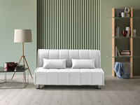 EVERGREENWEB Canapé-lit extensible 2 places avec matelas 140x190 cm, oreillers fabriqués en Italie, housse amovible et lavable, pour salon et salle de sport