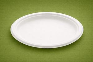 Plato Desechable Ecológico Biodegradable y Compostable de Bagazo de Caña de Azúcar de 10 Pulgadas para Cenas y Restaurantes, 500 Piezas/Caja - Product Image 3