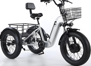 Triciclo Eléctrico con Marco de Aluminio y Neumáticos Anchos, Disponible en Stock, 500W 48V 12Ah, Freno de Disco, Utilitario de Carga, Alcance de 40km - Product Image 3