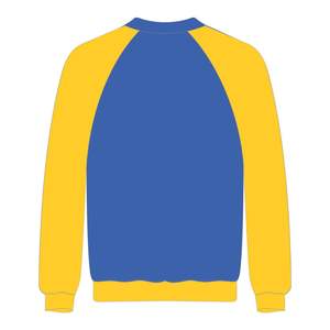 Sudadera con Mangas Raglán de la Hermandad Azul Sigma Gamma Rho, Bordado Chenille, Moda Universitaria, Hermandad Griega Divine Nine - Product Image 3