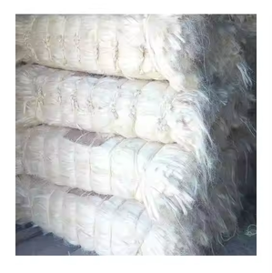 Fibra de sisal natural UG y SSUG de calidad de exportación/fibra de sisal - Product Image 4