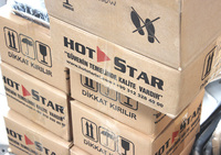 HOTSTAR Nouveau Réchaud à Shawarma Radiant en Acier Inoxydable Longue Durée 160x200x30 MM Garantie 2 Ans Machines à Döner Usage Industriel
